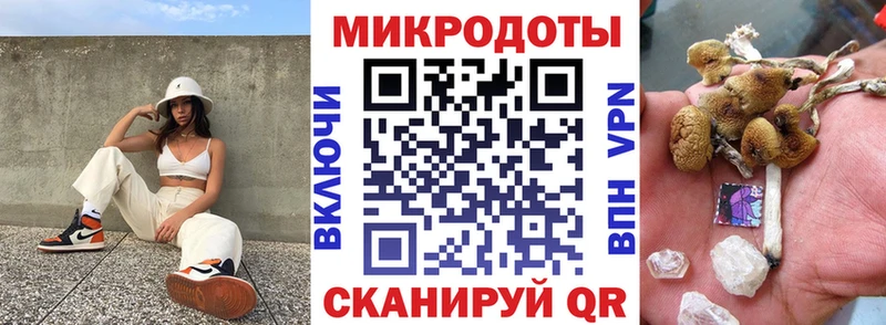 Псилоцибиновые грибы Cubensis  Сясьстрой 